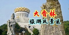 浪潮AV专业干老外中国浙江-绍兴大香林旅游风景区